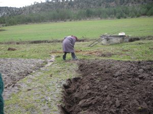 Año 2005. Orillares. Petra Benito en el huerto.