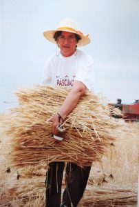 Año 1990. Morcuera. Pascuala Palomar. La siega.