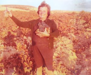 Año 1977. San Esteban de Gormaz. Celestina vendimiando.
