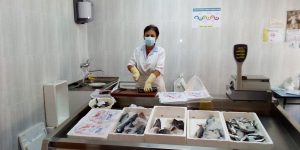 Año 2020. Villálvaro. Pili en la pescadería.