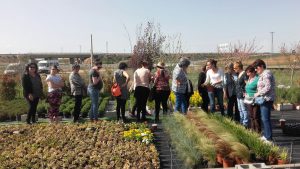Año 2018. Almazán. Mujeres compartiendo jornada de jardinería