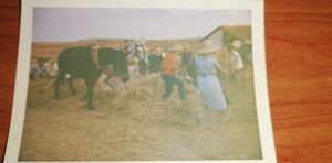 Año 1960. Rioseco. Tina, la primera vez que se puso pantalones para la trilla