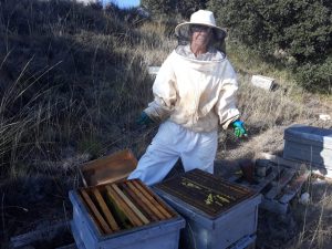 Año 2020. Barca. Isi García cuidando de sus abejas.