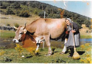 Año 1970. Salduero. Juana Peña Ulibarri.