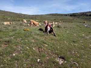 Año 2020. Torrearevalo. Sagrario Narro, ganadera en el Acebarillo.
